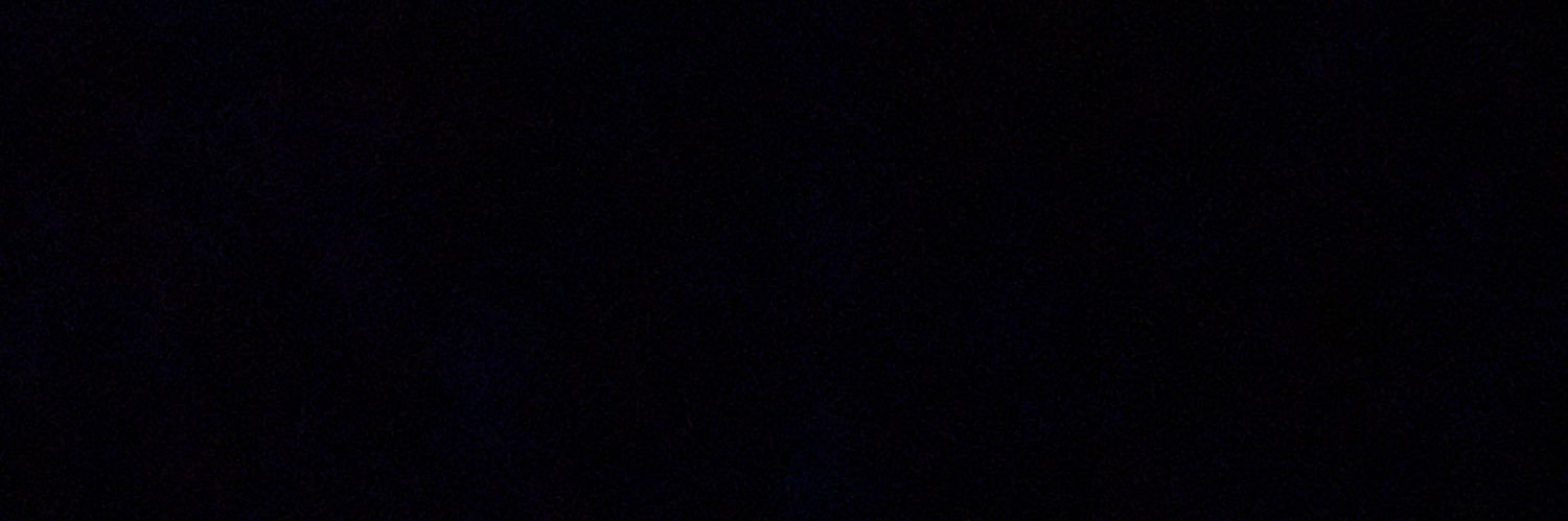 MegaRikkie's profile banner image