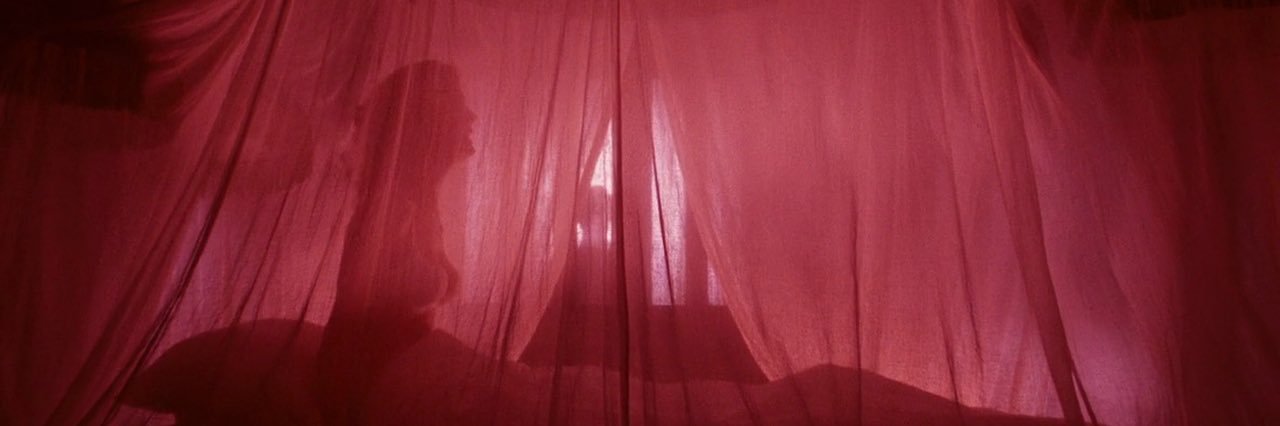 nat banner