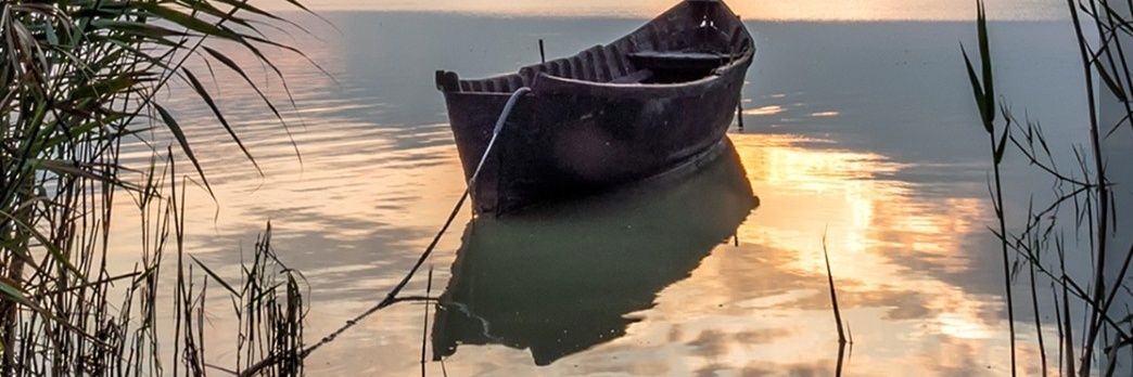MinnaValaja's profile banner image