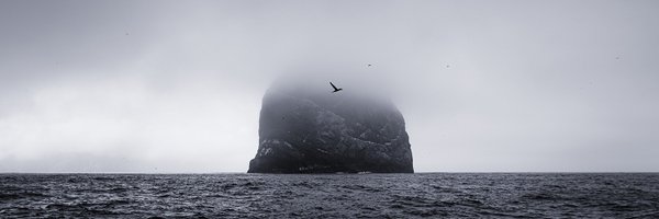 PhotographySwan Profile Banner