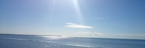 AussieFem2's profile banner image