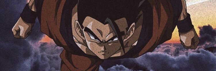 danitorres07's profile banner image