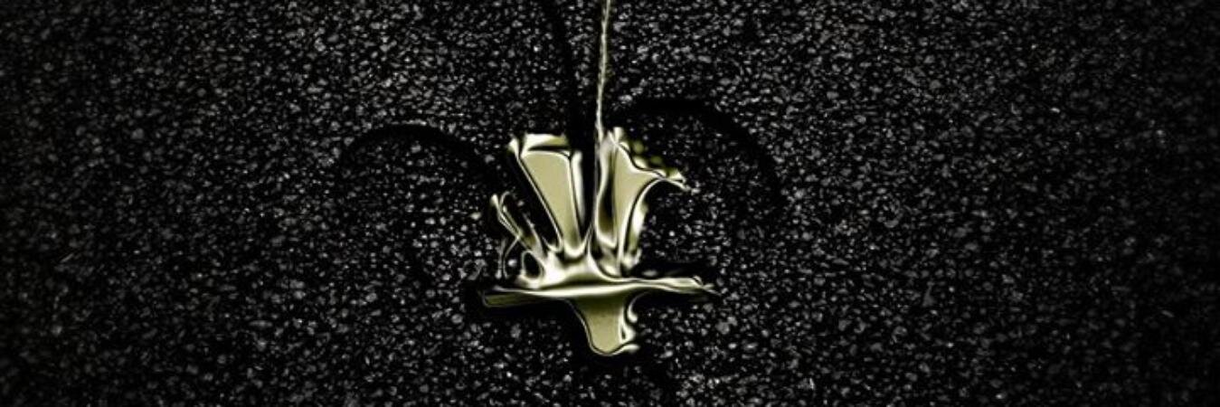 FanoviBiH's profile banner image