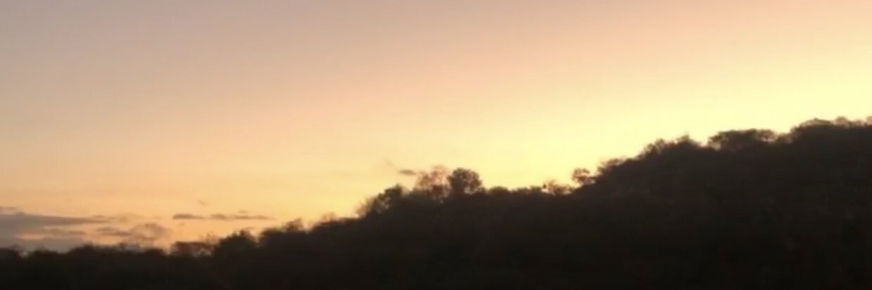 vibes_romer's profile banner image