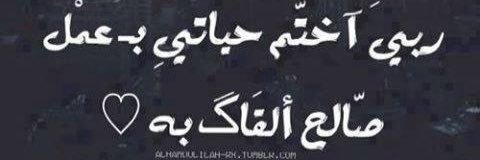 albaif5555's profile banner image