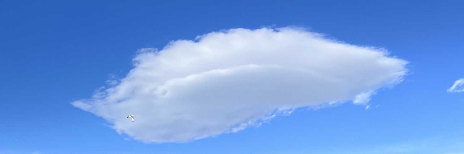 manvswild banner