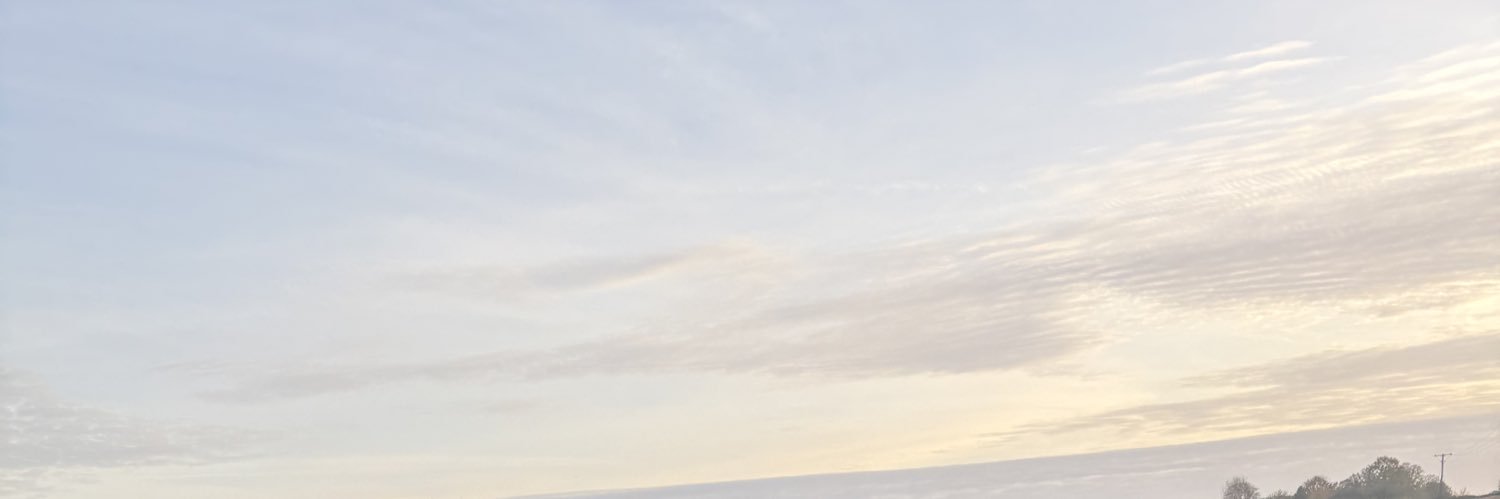 megan_leech's profile banner image