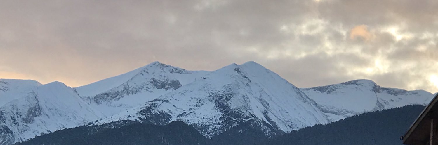 Vanessa Edwards banner