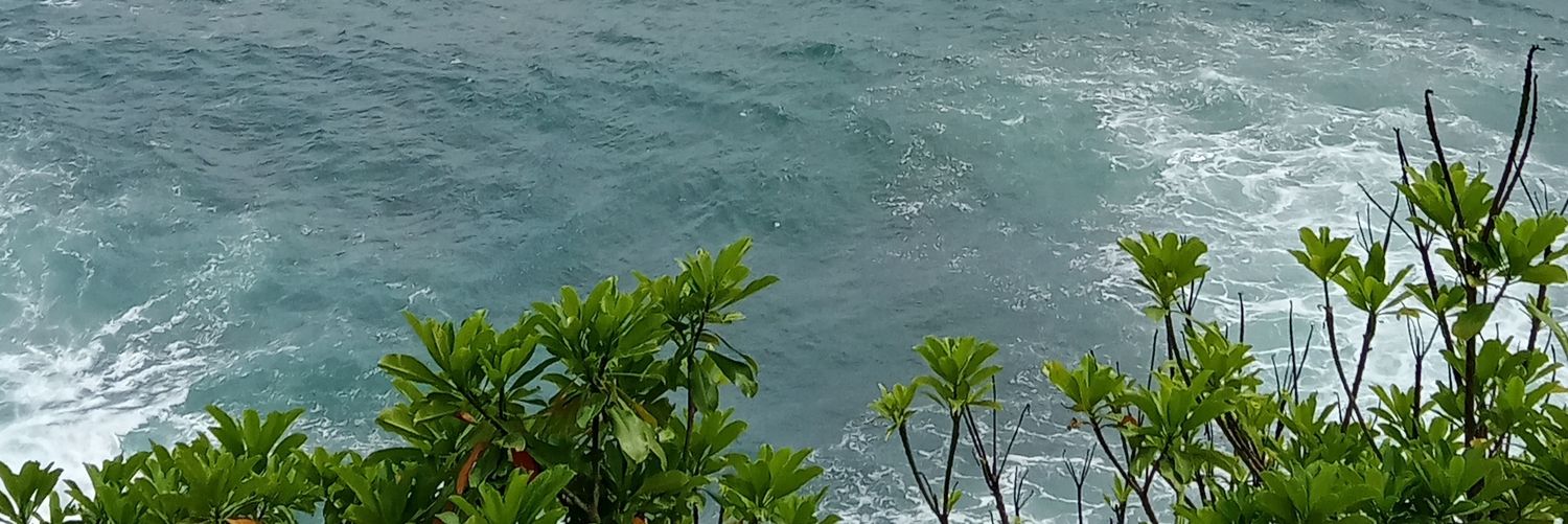 Bluesea | Joki Tugas, App Prem, Jasa Unlock Doc banner