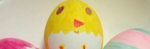 hal©🍒🍓🐣 banner