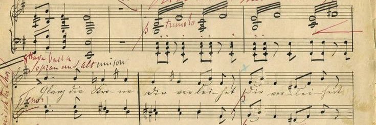 Kristen Scheitler, MD, PhD banner