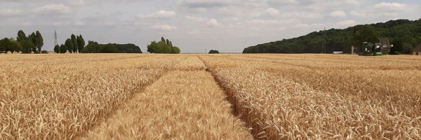 LemoineCelie Profile Banner