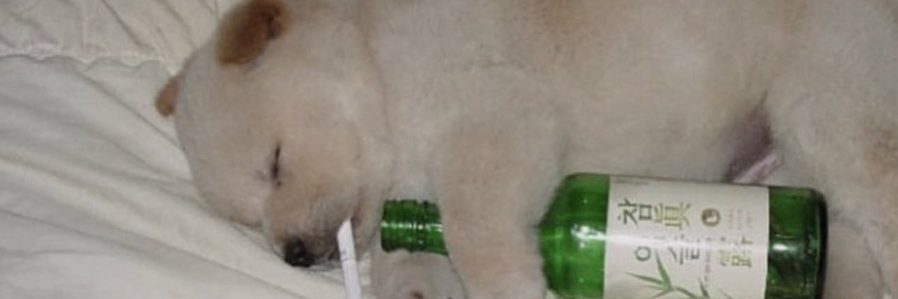 XHSN96's profile banner image