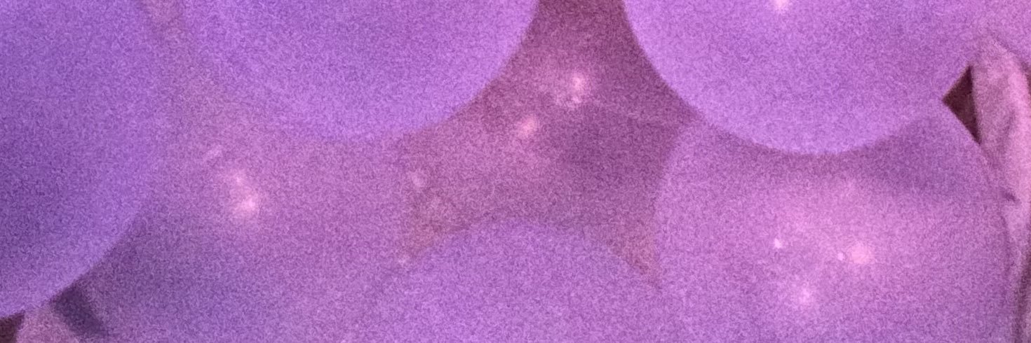elifyuksel's profile banner image