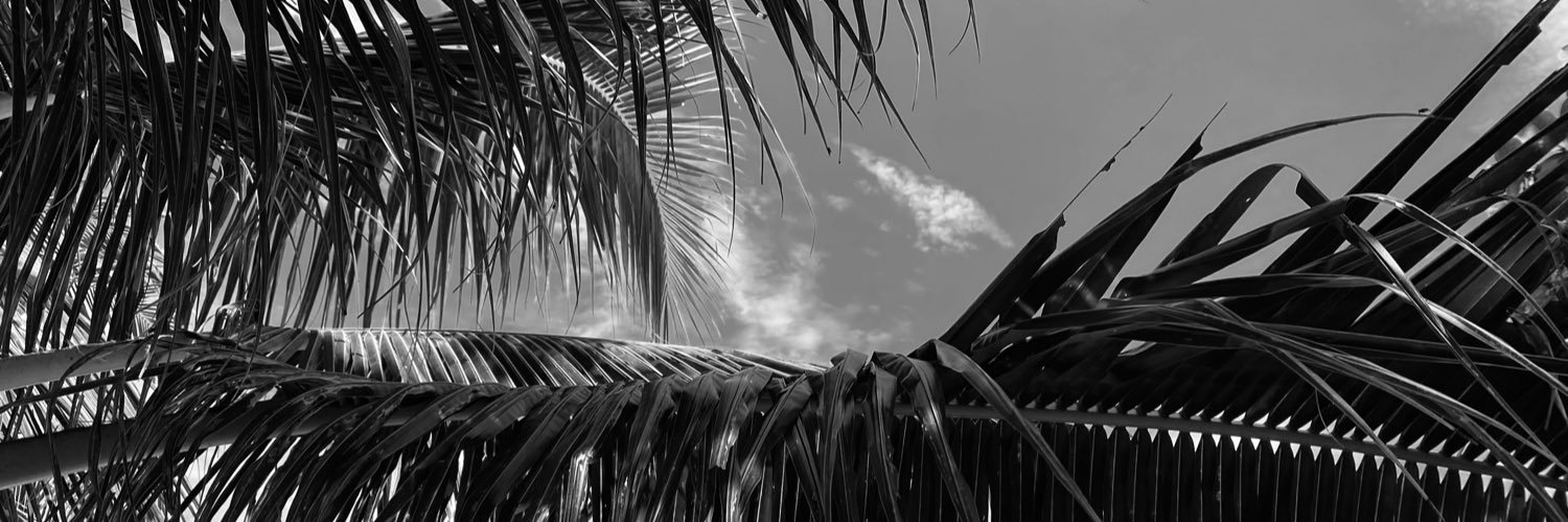 mirzzr's profile banner image