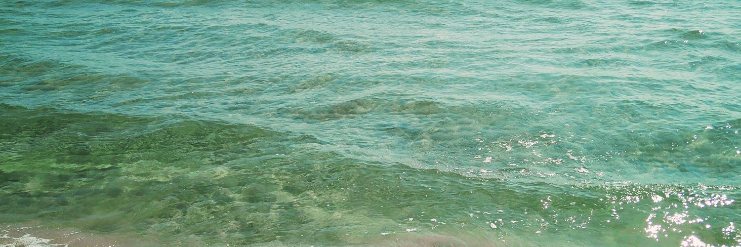 monicadsbd's profile banner image
