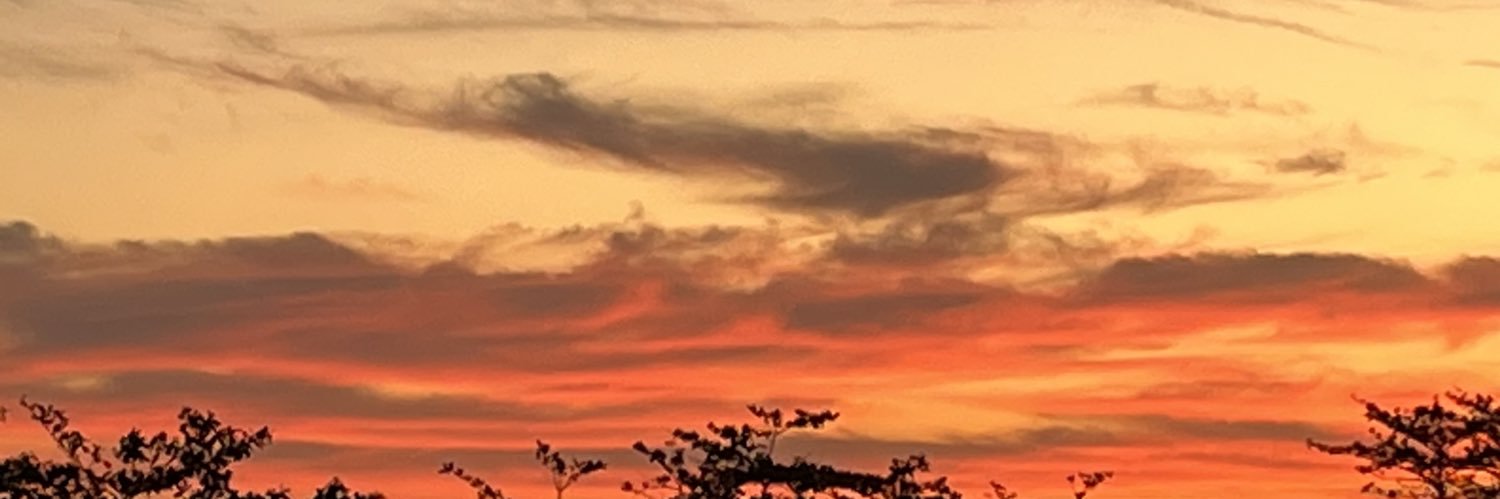 XavierMoranchel's profile banner image