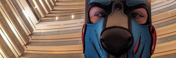 Cobalt_Derg Profile Banner