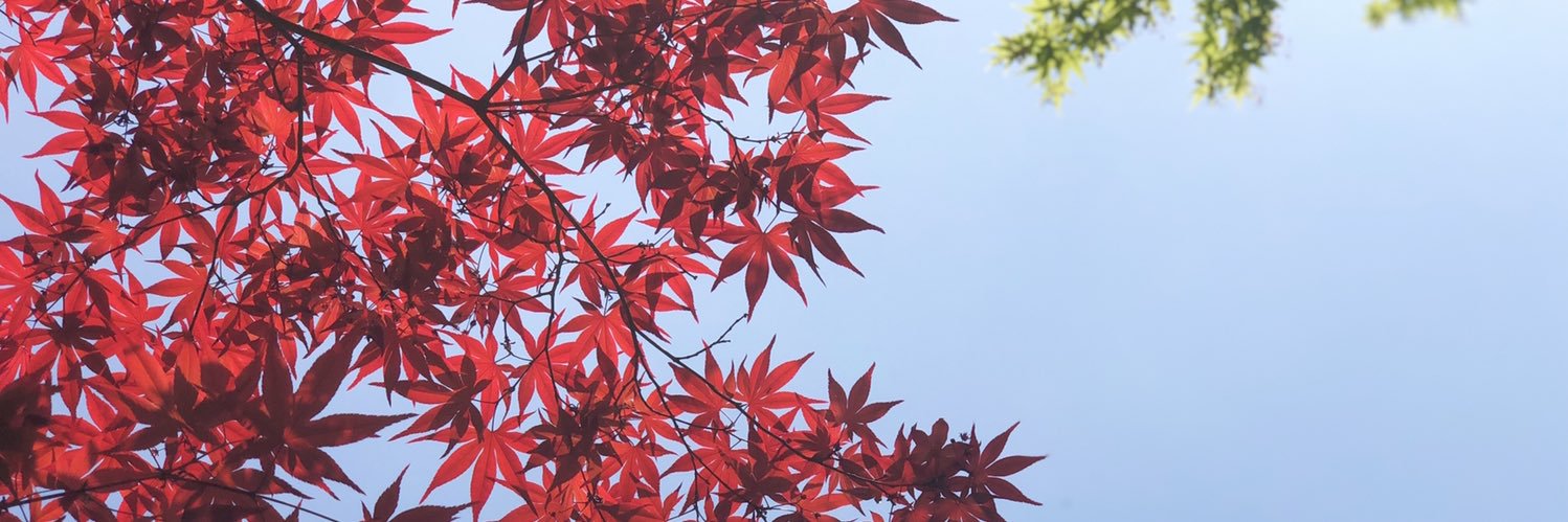 uritam's profile banner image