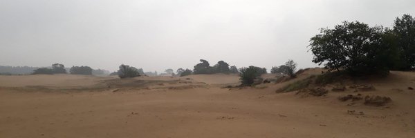 SOC_WUR Profile Banner