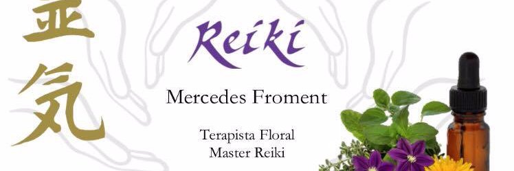mercedes froment banner