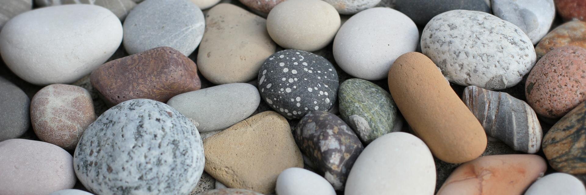 Jennifer Sahn 🌻 banner