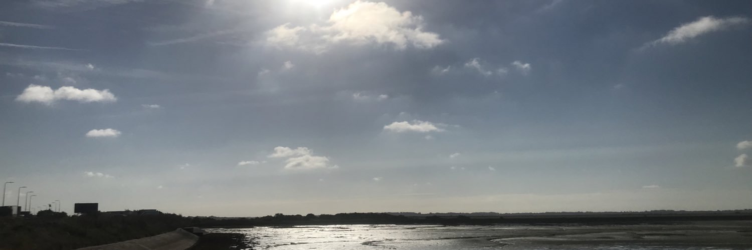 mollyjojojo's profile banner image