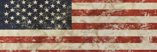 David Sullivan🇺🇸 banner