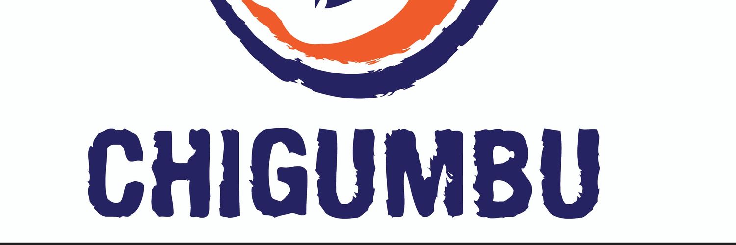 Hon. Darlington Chigumbu🇿🇼's banner