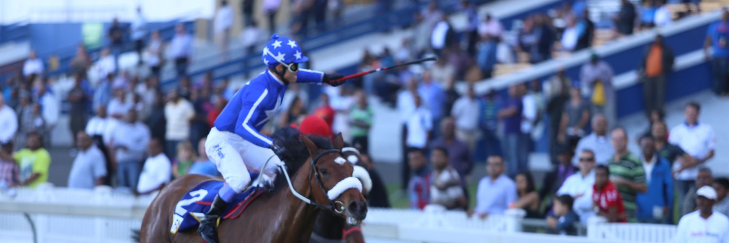 SA Bloodstock banner