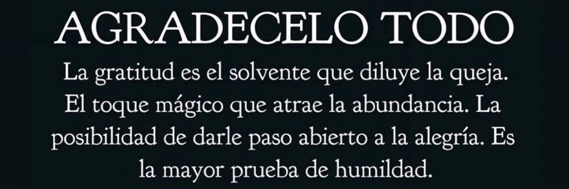 Yolanda Solis banner
