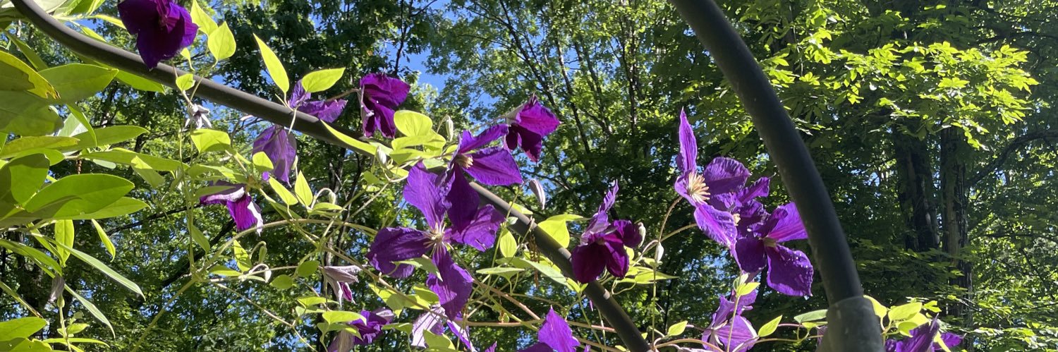 janicecampbell's profile banner image