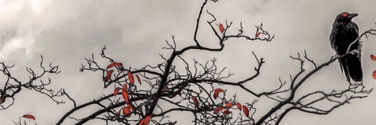 retsimj's profile banner image