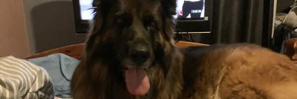 Judiths53372214 Profile Banner