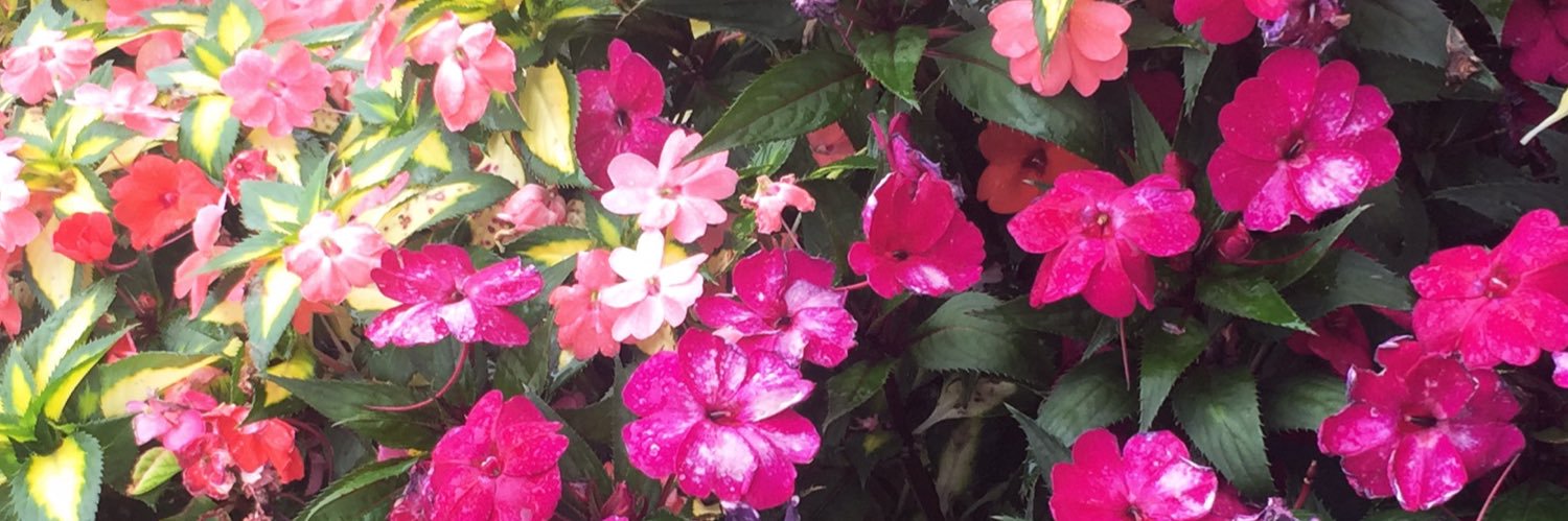 pretti_Linda's profile banner image
