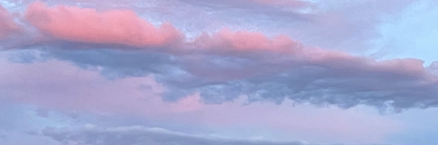 MisterrRee's profile banner image