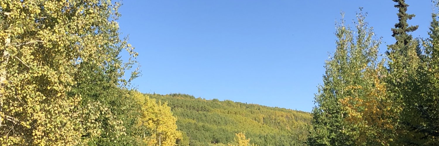 nikschick's profile banner image