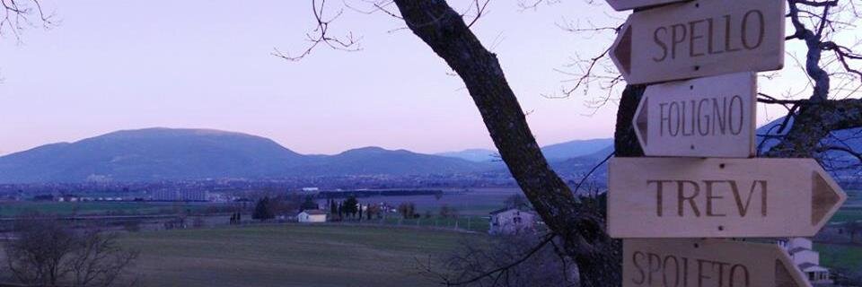 SabryChetta's profile banner image