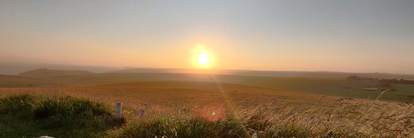 PaveyEm Profile Banner