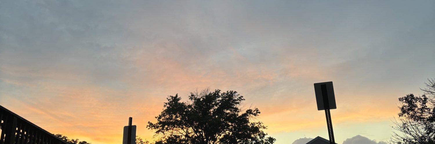_EmPalm's profile banner image
