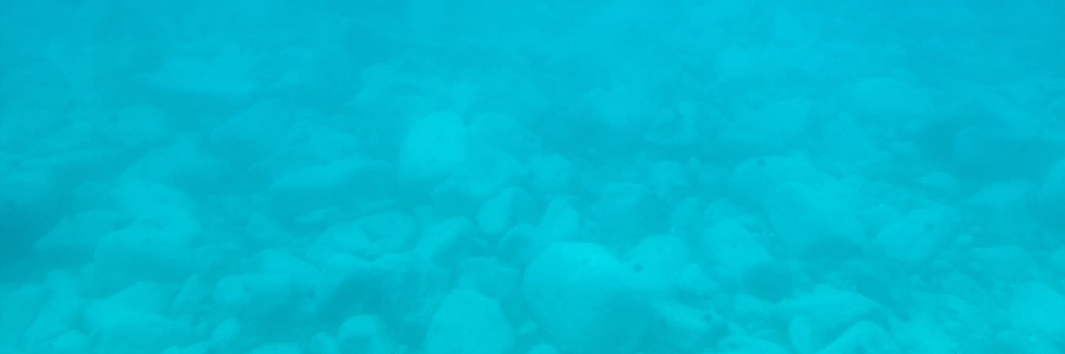 Pyonsan_desuyo's profile banner image