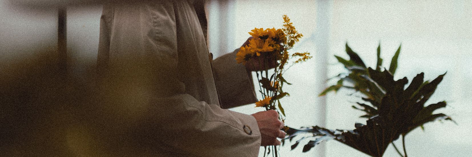 Sebastiankai8's profile banner image