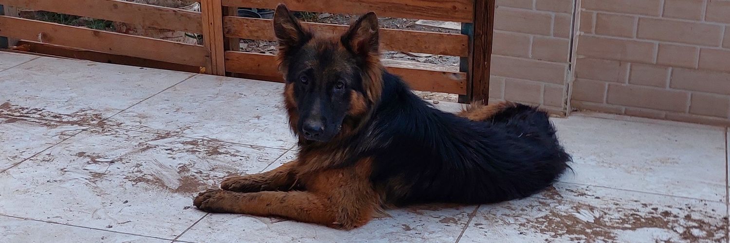 ﮼عزالديــن banner