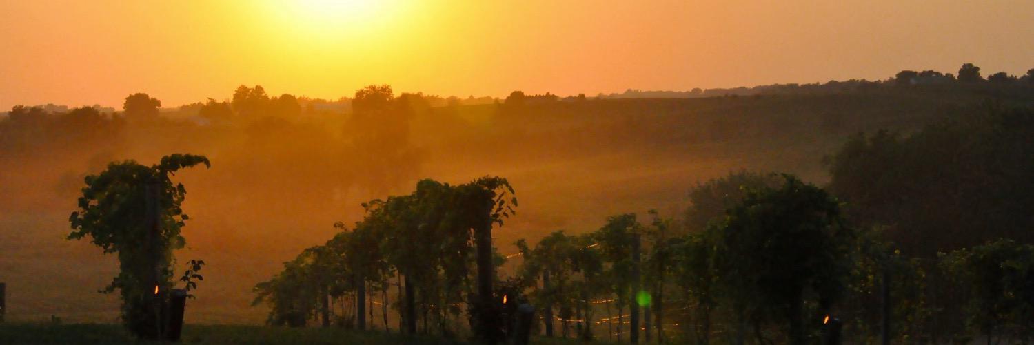 HeyProfBob's profile banner image