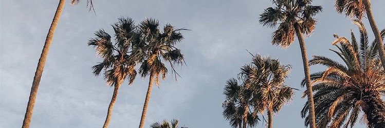 lleva_'s profile banner image