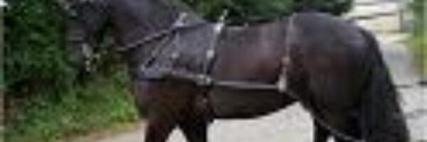 bdseducation Profile Banner