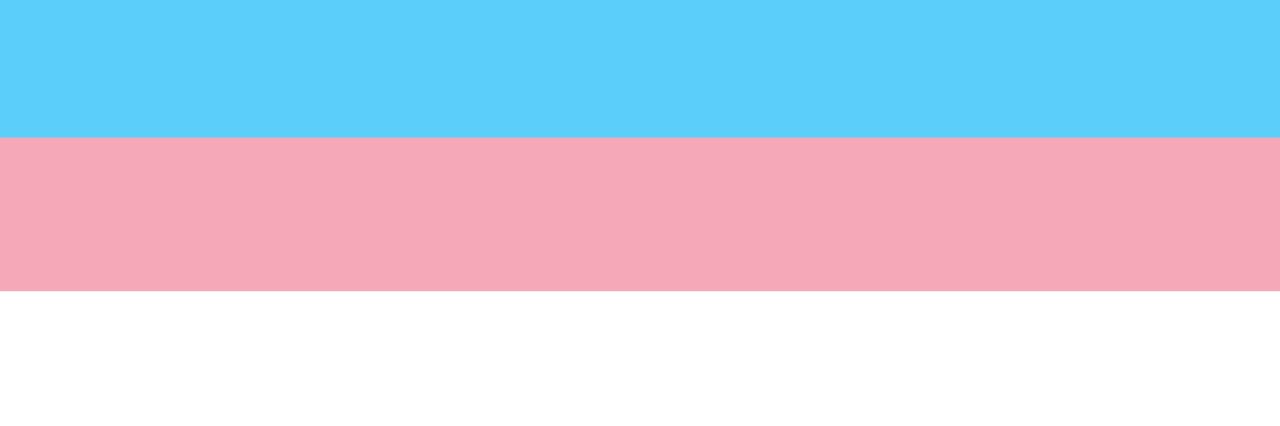 Ana Bólica banner