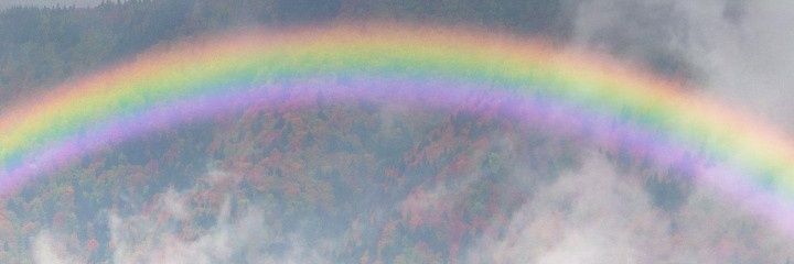 RadikalGewaltlos banner