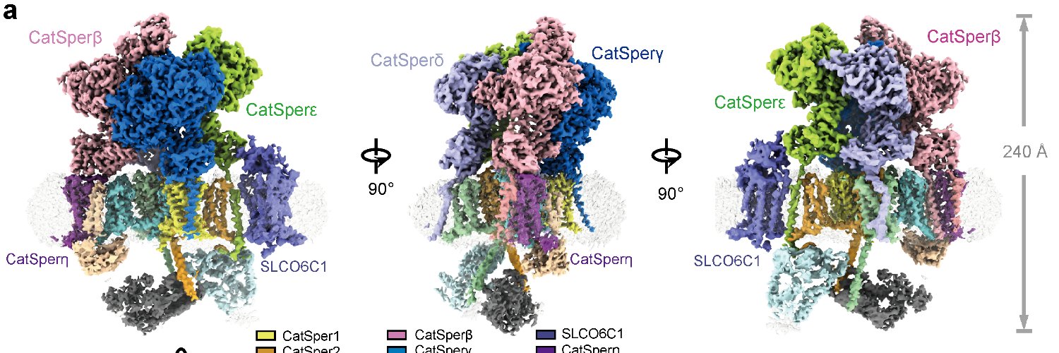 Jianping Wu (吴建平) banner