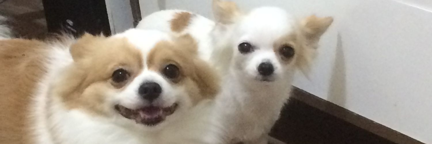 Predouu's profile banner image